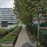 RSM PAYROLL SOLUTIONS CZ