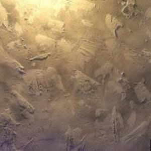 obrazek: avatar NOVEX PRAHA s.r.o.