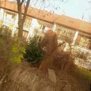 obrazek: avatar AGIS PRAHA, s.r.o.