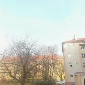 obrazek: avatar PAVLÍČEK MILAN Ing.
