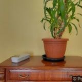 EPR CONSULTING, s.r.o.