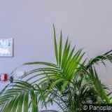 CZECH AND SLOVAK INVESTMENT ADVISORS, s.r.o.