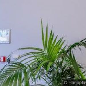 obrazek: avatar CZECH AND SLOVAK INVESTMENT ADVISORS, s.r.o.