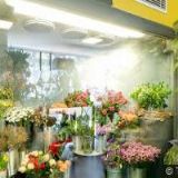 AISA INTERNATIONAL, s.r.o.