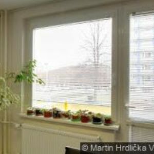 obrazek: avatar ACCORD INTERNATIONAL s.r.o.