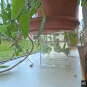 obrazek: avatar GDPR SUPPORT s.r.o.