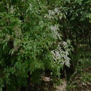 obrazek: avatar PROPERTIA s.r.o.