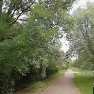 obrazek: avatar BERAN JIŘÍ Ing.