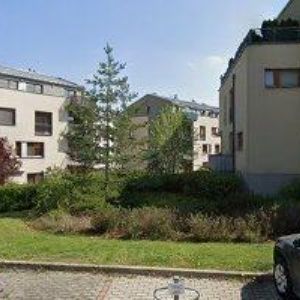 obrazek: avatar CEREBRA s.r.o.