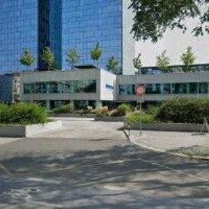 obrazek: avatar WELTON CONSULTING s.r.o.