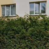 BUSINESS EXCELLENCE CONSULTING s.r.o.