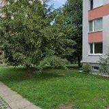 DOBRÉ RÁNO PRO OBCHOD