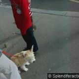 TESÁRKOVÁ KATEŘINA Mgr.-BAREVNÉ UČENÍ