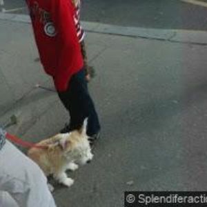 obrazek: avatar TESÁRKOVÁ KATEŘINA Mgr.-BAREVNÉ UČENÍ