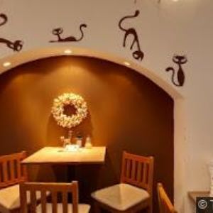 obrazek: avatar INEP MEDICAL s.r.o.