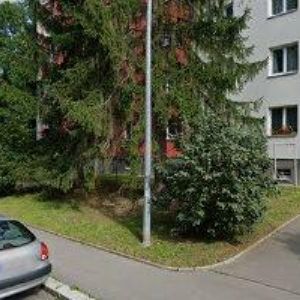 obrazek: avatar DVOŘÁKOVÁ MILENA