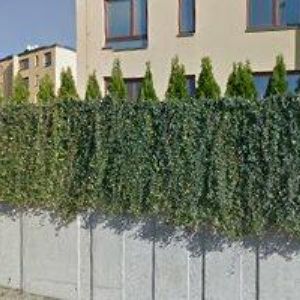 obrazek: avatar MIMINKOVÁNÍ