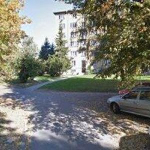 obrazek: avatar ŽIVÁ RADOST