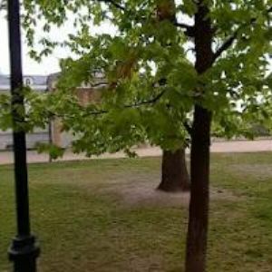 obrazek: avatar SŠ, ZŠ A MŠ PRO SLUCHOVĚ POSTIŽENÉ