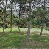 MŠ SPECIÁLNÍ A SPC Štíbrova