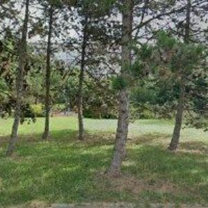 obrazek: avatar MŠ SPECIÁLNÍ A SPC Štíbrova