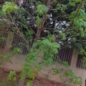 obrazek: avatar HAIR CENTRUM PRAHA s.r.o.