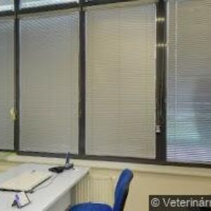 obrazek: avatar ŠIMEČEK JOSEF-STAVEBNÍ FIRMA