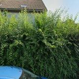 VERANT-STAV, spol. s r.o.