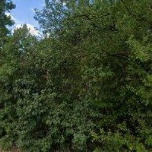 obrazek: avatar PSP.ADV-GROUP s.r.o.