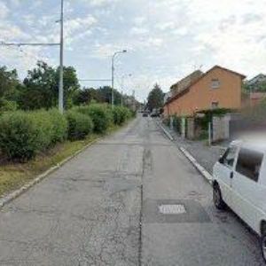 obrazek: avatar GRÜNER ROMAN