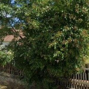 obrazek: avatar MTL SERVIS s.r.o.