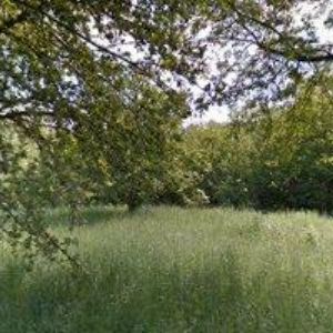 obrazek: avatar ECOSTAV s.r.o.