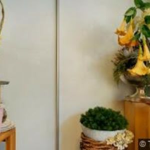 obrazek: avatar ZIMSKI s.r.o.