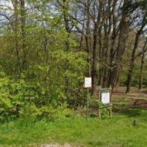 obrazek: avatar FORMÁNEK MICHAL