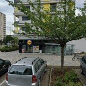 obrazek: avatar VRBSKÝ ČESTMÍR