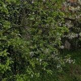 COMPLET SERVICE CZ, s.r.o.