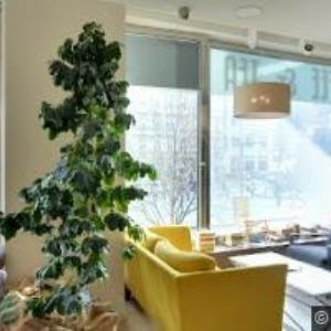 obrazek: avatar SCATECH s.r.o.