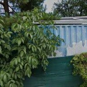 obrazek: avatar VAJSOCHR PETR