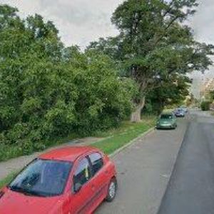 obrazek: avatar FERENC MARTIN