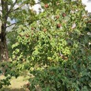 obrazek: avatar APEX-WM s.r.o.