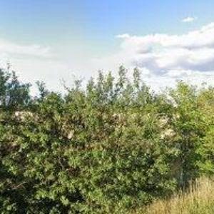 obrazek: avatar PB STAVEBNÍ s.r.o.