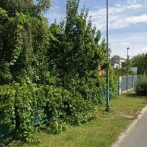 obrazek: avatar DOMISTAV CZ a.s.