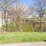 ANIMA BOHEMICA s.r.o.