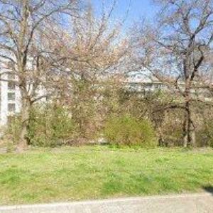 obrazek: avatar ANIMA BOHEMICA s.r.o.