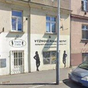 obrazek: avatar CIRKOVSKÁ JAROSLAVA