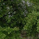 HERIANOVÁ ZUZANA Ing.