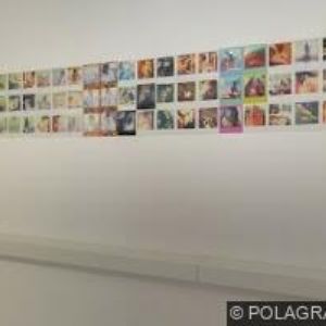 obrazek: avatar POVONDROVÁ YLONA