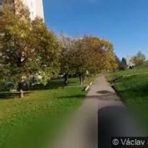 obrazek: avatar VELICKÁ ALENA-ÚČETNICTVÍ
