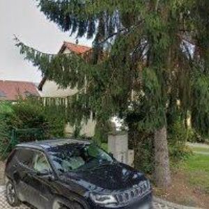 obrazek: avatar BELŠÁNOVÁ PETRA