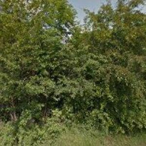 obrazek: avatar APT SOLUTION, s.r.o.